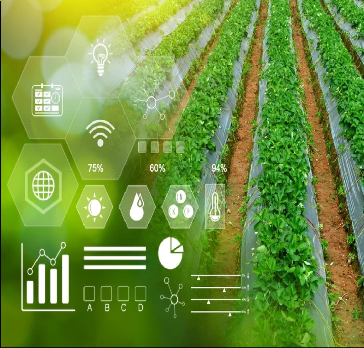 Agritech & Smart Farming